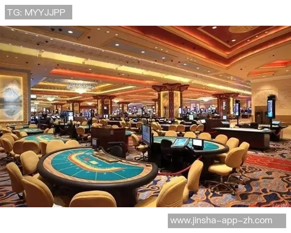 澳门金沙赌场js838-澳门金沙赌场js838，揭秘与探索-澳门金沙赌场js838